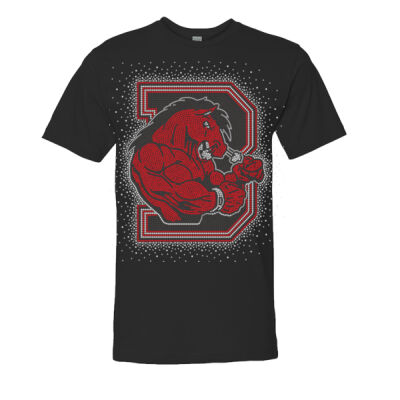 Broncos Logo - Fine Jersey Tee Thumbnail