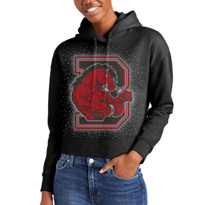 Broncos Logo with OPTIONAL sleeves and hood - Women's V.I.T. Fleece Hoodie Thumbnail